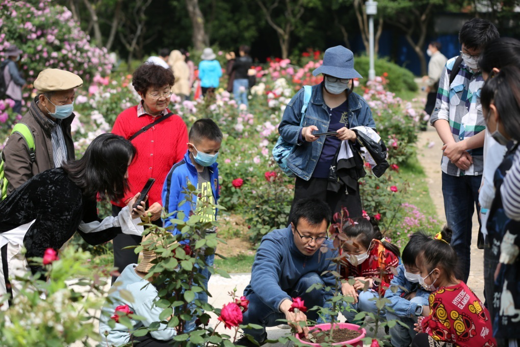 所（园）与江苏省生态环境厅联合开展蔷薇花信自然课堂直播活动
